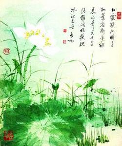 題畫白蓮 題畫白蓮