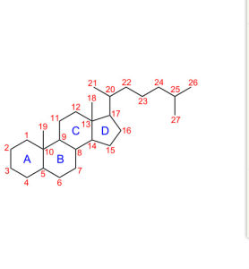 甾族化合物 甾族化合物