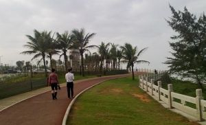 西海岸帶狀公園 西海岸帶狀公園