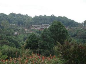 馬泥塘村 馬泥塘村