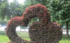 愛情小廣場 愛情小廣場