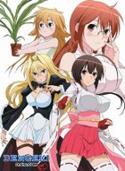 鸚鵡女神第一季