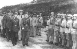 忠義救國軍 忠義救國軍