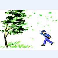 颱風[氣象學名詞]