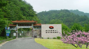 桃花沖旅遊風景區 桃花沖旅遊風景區