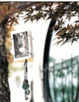 我們在長大了 我們在長大了