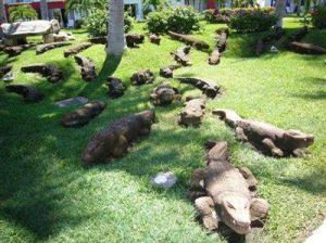 洋信鱷魚園 洋信鱷魚園