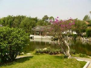 （圖）朱家花園的池塘和紫薇花