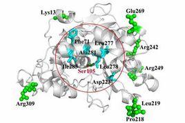 酶化學修飾 酶化學修飾