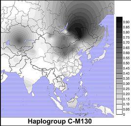 單倍群C[Y染色體DNA單倍群C]