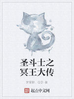 聖鬥士之冥王大傳 聖鬥士之冥王大傳