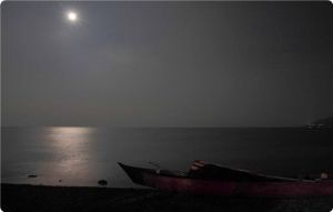 青魚戲月湖 青魚戲月湖