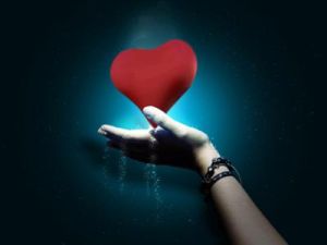 心理黑箱 心理黑箱