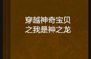 穿越神奇寶貝之我是神之龍