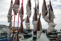 一魯鮮魚 一魯鮮魚