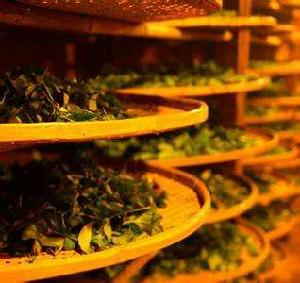 烘焙[制茶工藝]