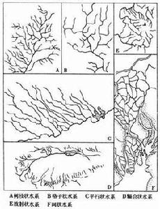 羽毛狀水系 羽毛狀水系