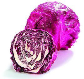 紅色包心菜 紅色包心菜