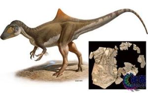 駝背恐龍 駝背恐龍