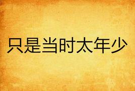 只是當時太年少 只是當時太年少