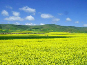 都蘭國際狩獵旅遊 都蘭國際狩獵旅遊