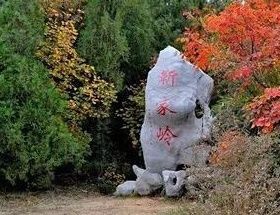 靳家嶺遊覽區 靳家嶺遊覽區