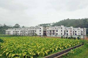 茨竹鄉[茨竹鄉]