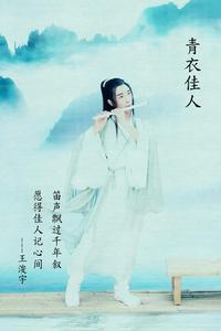 青衣佳人宣傳海報