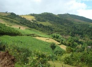 中幫登村 中幫登村