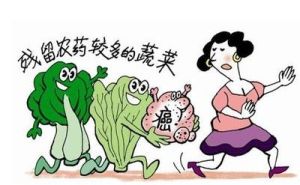 食品污染 食品污染