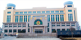 中國海關綜合信息資訊網