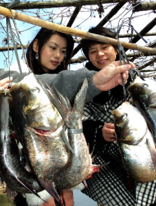 建甌弓魚