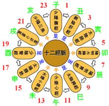 十二時辰養生法