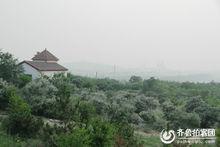 淄博市花山風景區