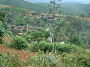 兵斗自然村 兵斗自然村