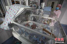 陝西760克袖珍嬰兒 陝西760克袖珍嬰兒