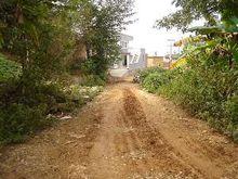 戴家莊村[山東省濰坊市昌樂縣寶石城街道戴家莊村]