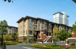 東麗1號 東麗1號