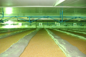 中央儲備糧通遼直屬庫