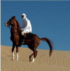 阿拉伯聯合酋長國人 阿拉伯聯合酋長國人