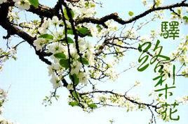 驛路梨花 驛路梨花