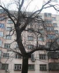 安固小區 安固小區