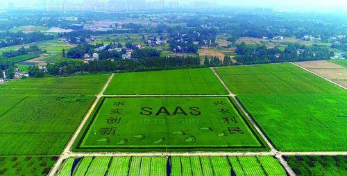 四川省農業科學院