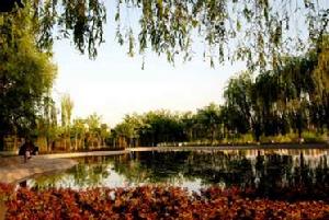 濱河人家 濱河人家