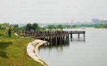 中新滻灞半島實景圖