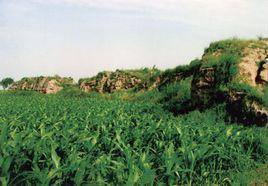 山東信陽鄉 山東信陽鄉