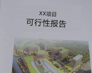 可行性報告 可行性報告