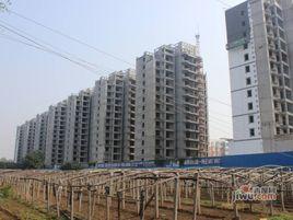 鑫泰公園道 鑫泰公園道