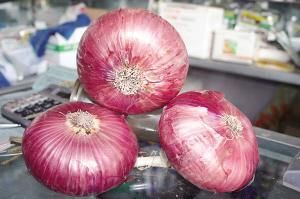 西昌洋蔥 西昌洋蔥