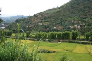 廟背後村 廟背後村